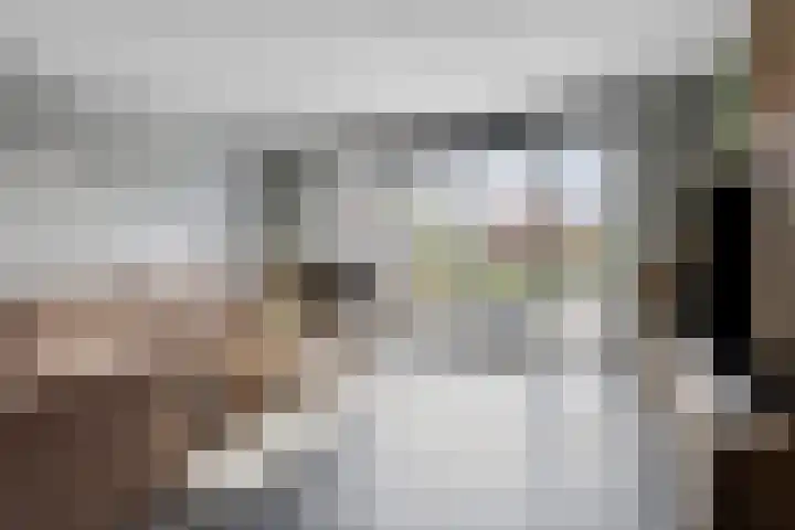 Luitenant 7 Gorinchem thumbnail 12