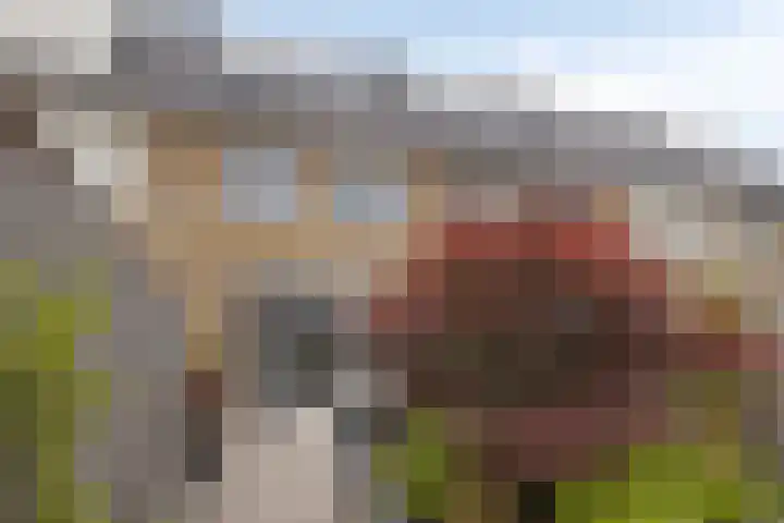 Luitenant 7 Gorinchem thumbnail 41