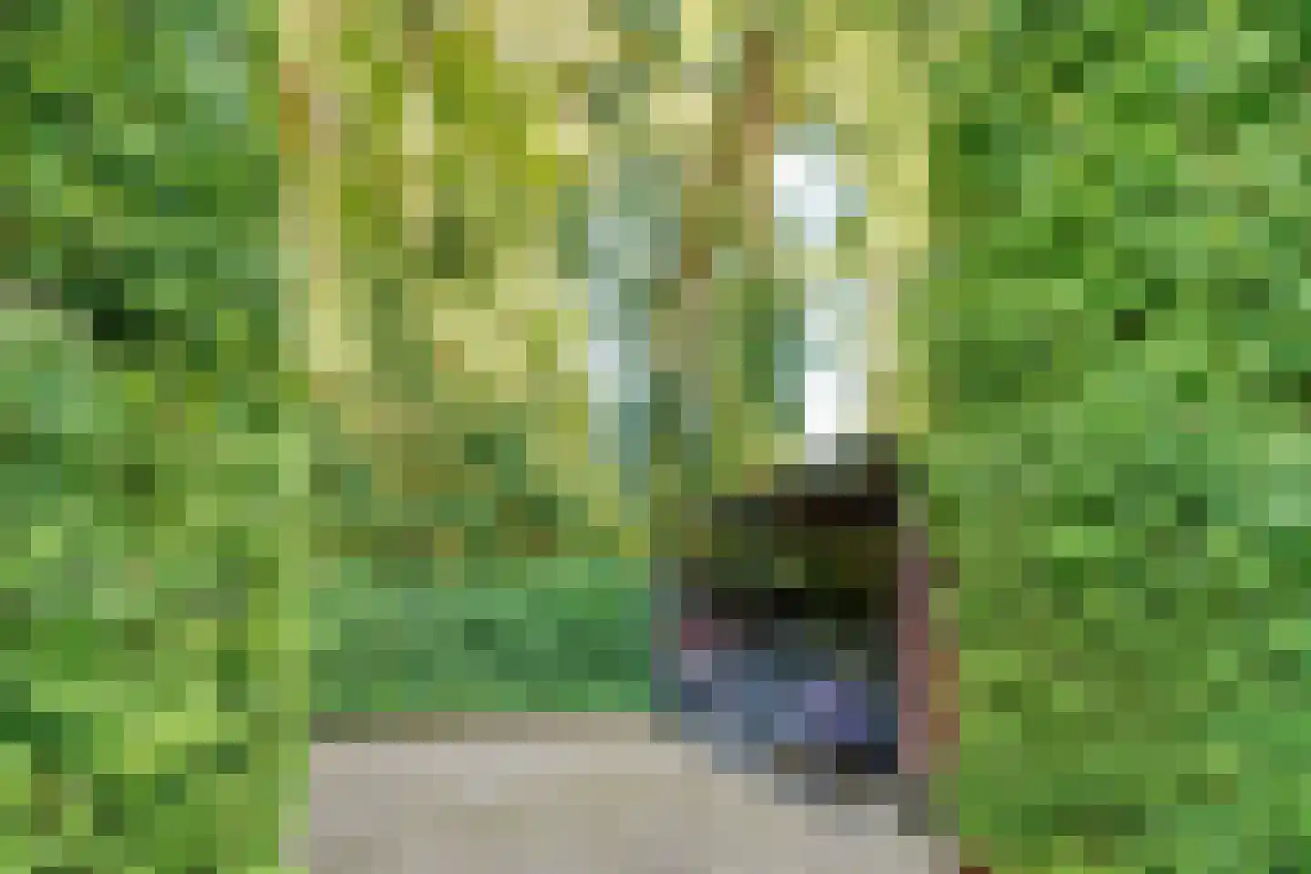 Luitenant Generaal van Heutszlaan 60 Baarn thumbnail 30