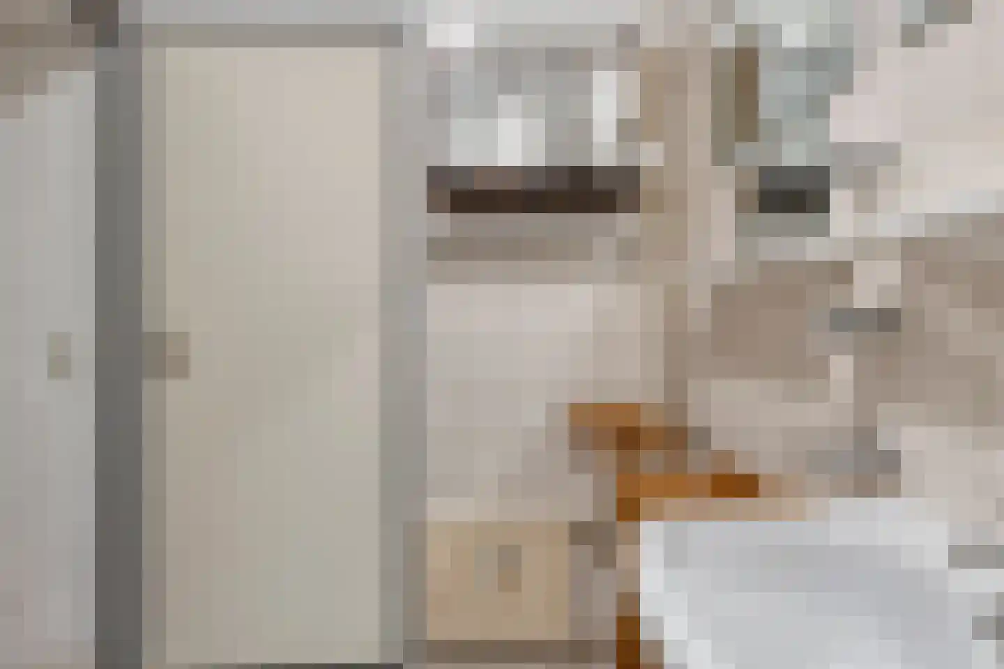 Luitenant Generaal van Heutszlaan 64 Baarn thumbnail 16