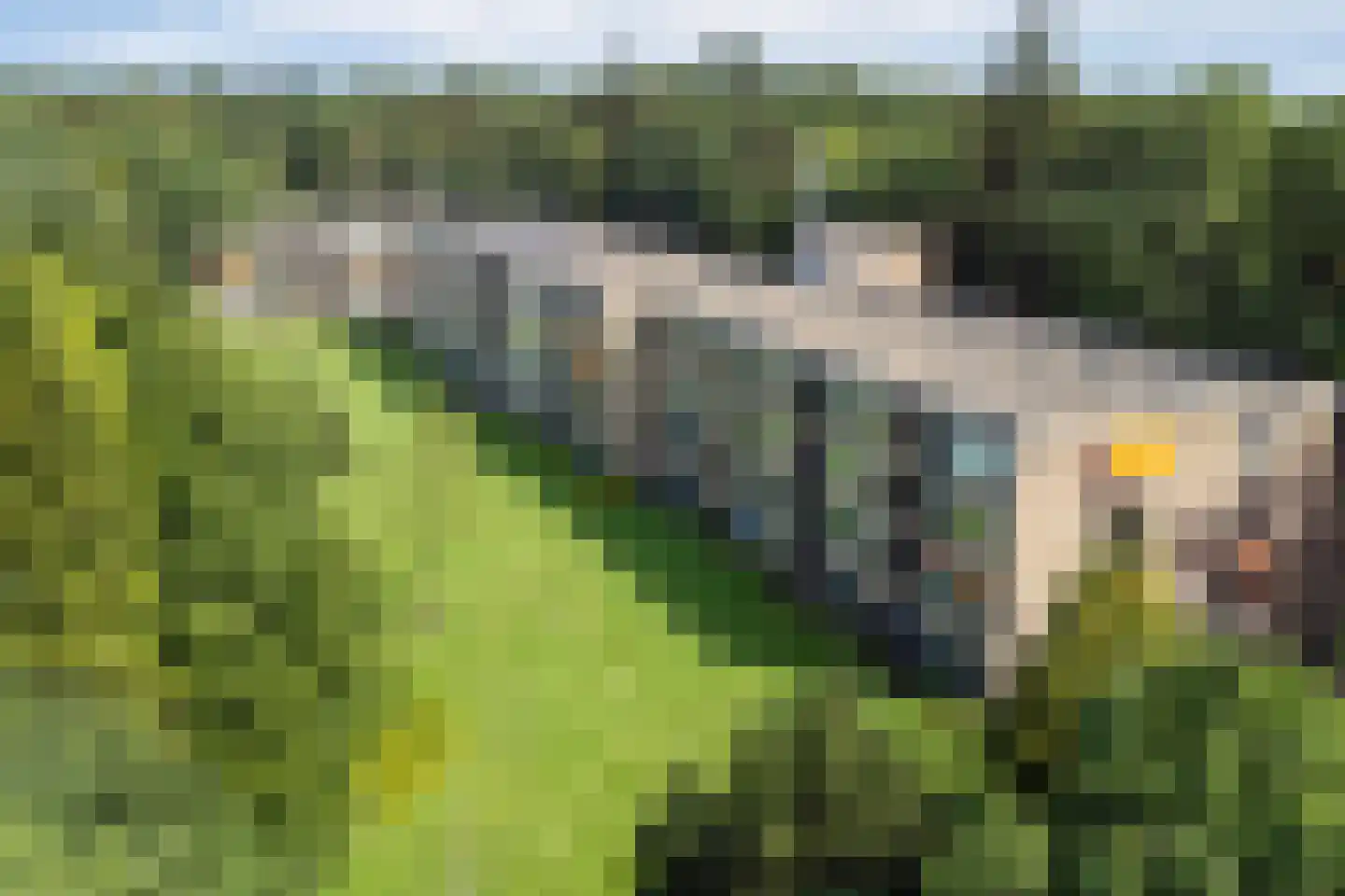 Luitenant Generaal van Heutszlaan 64 Baarn thumbnail 24