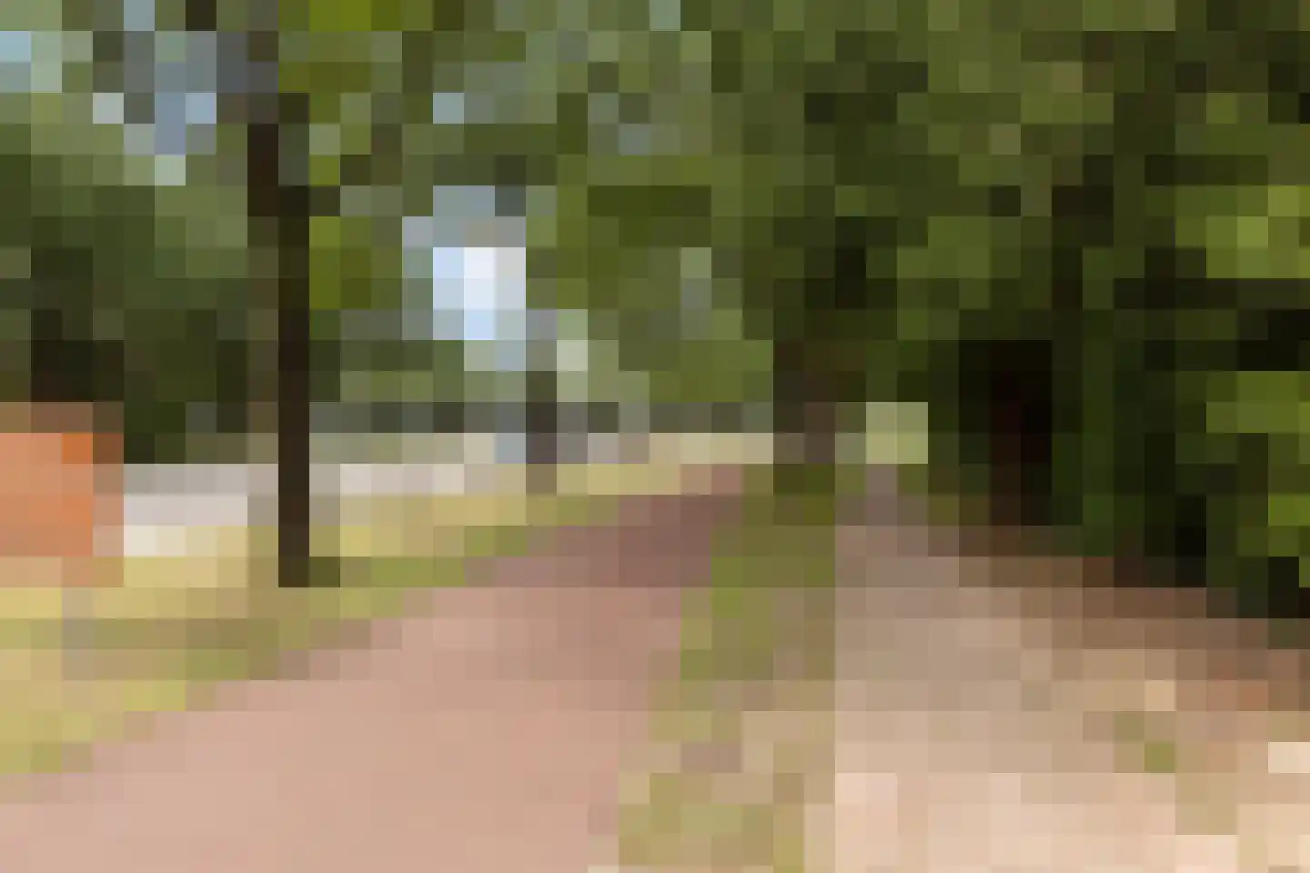 Luitenant Generaal van Heutszlaan 64 Baarn thumbnail 29