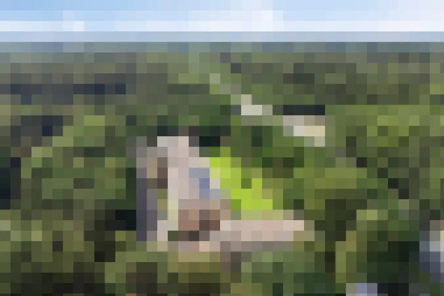 Luitenant Generaal van Heutszlaan 64 Baarn thumbnail 30
