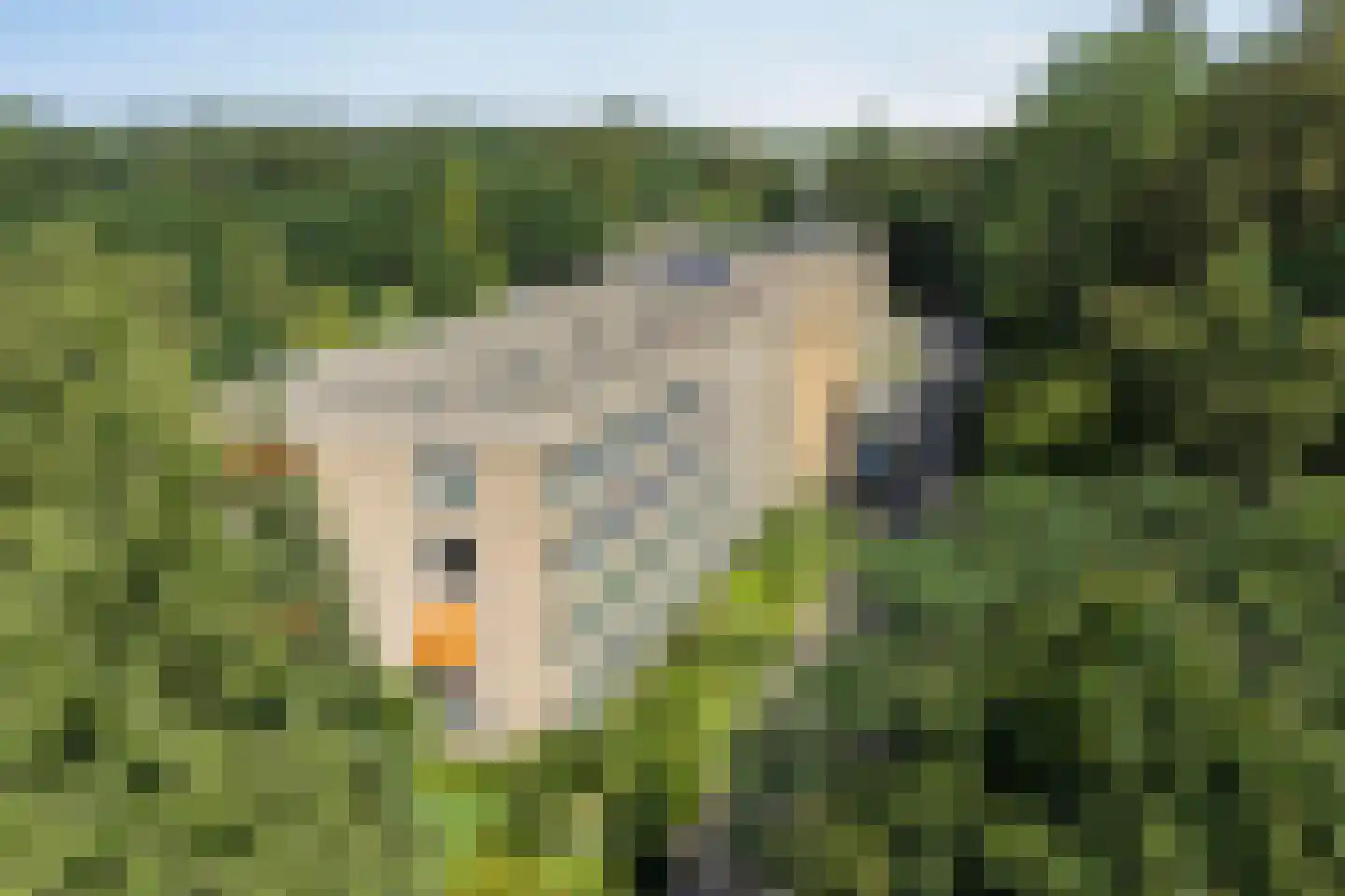 Luitenant Generaal van Heutszlaan 64 Baarn thumbnail 32