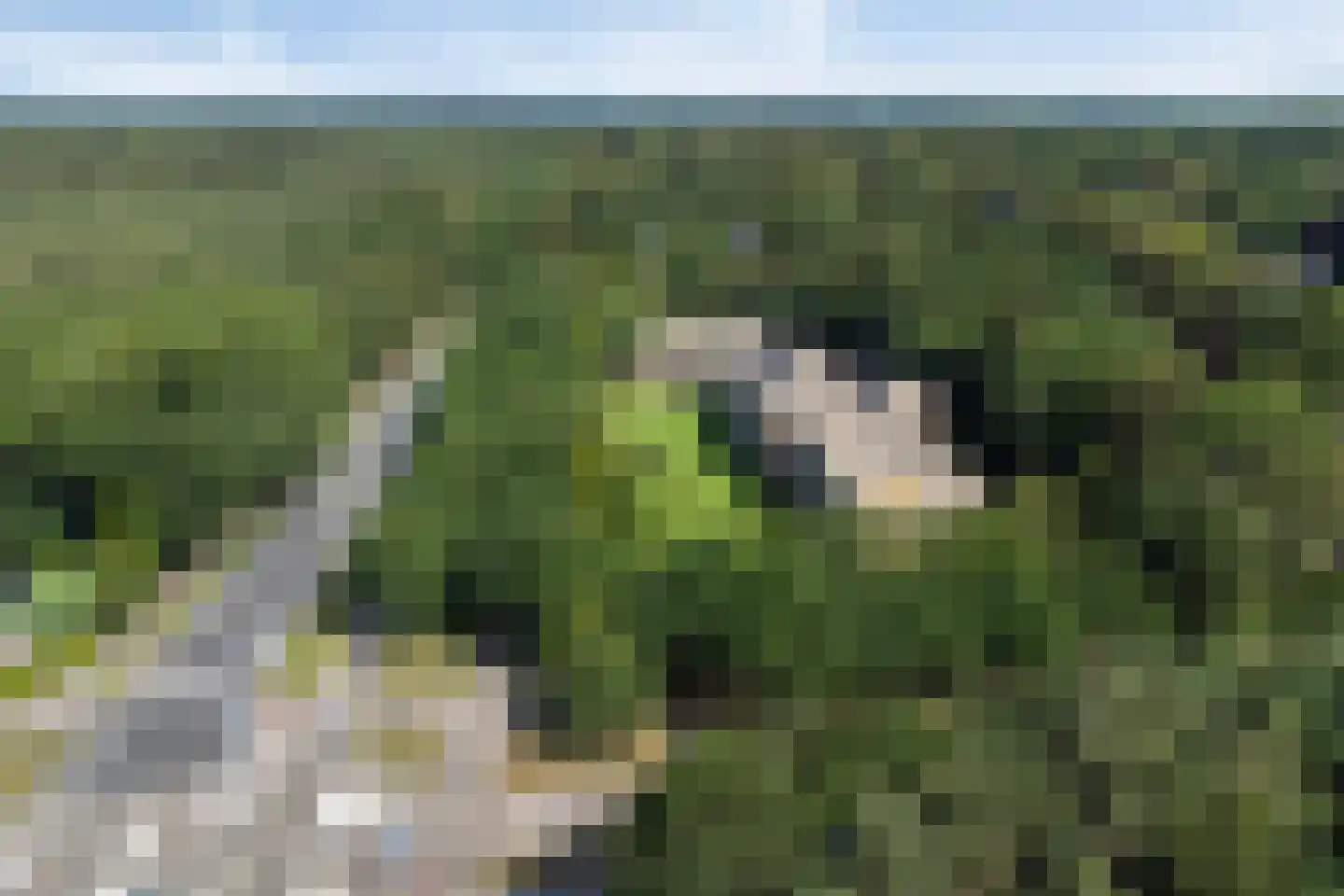 Luitenant Generaal van Heutszlaan 64 Baarn thumbnail 34