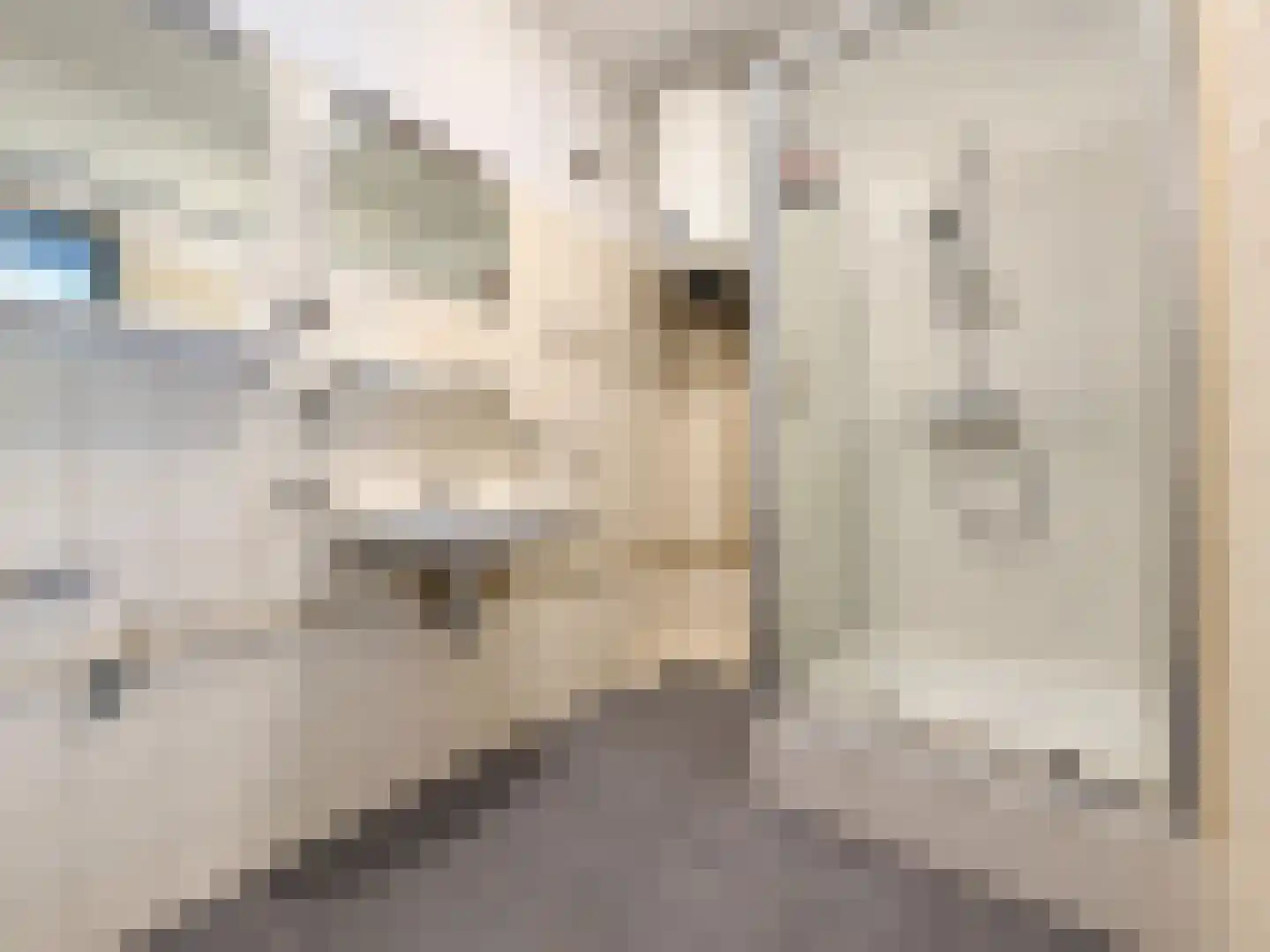 Luitenant Generaal van Heutszlaan 64 Baarn thumbnail 7