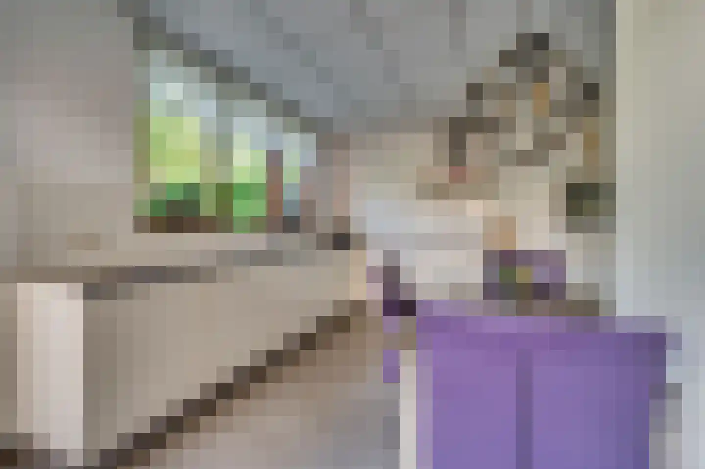 Luitenant Klopweg 4 Venlo thumbnail 19