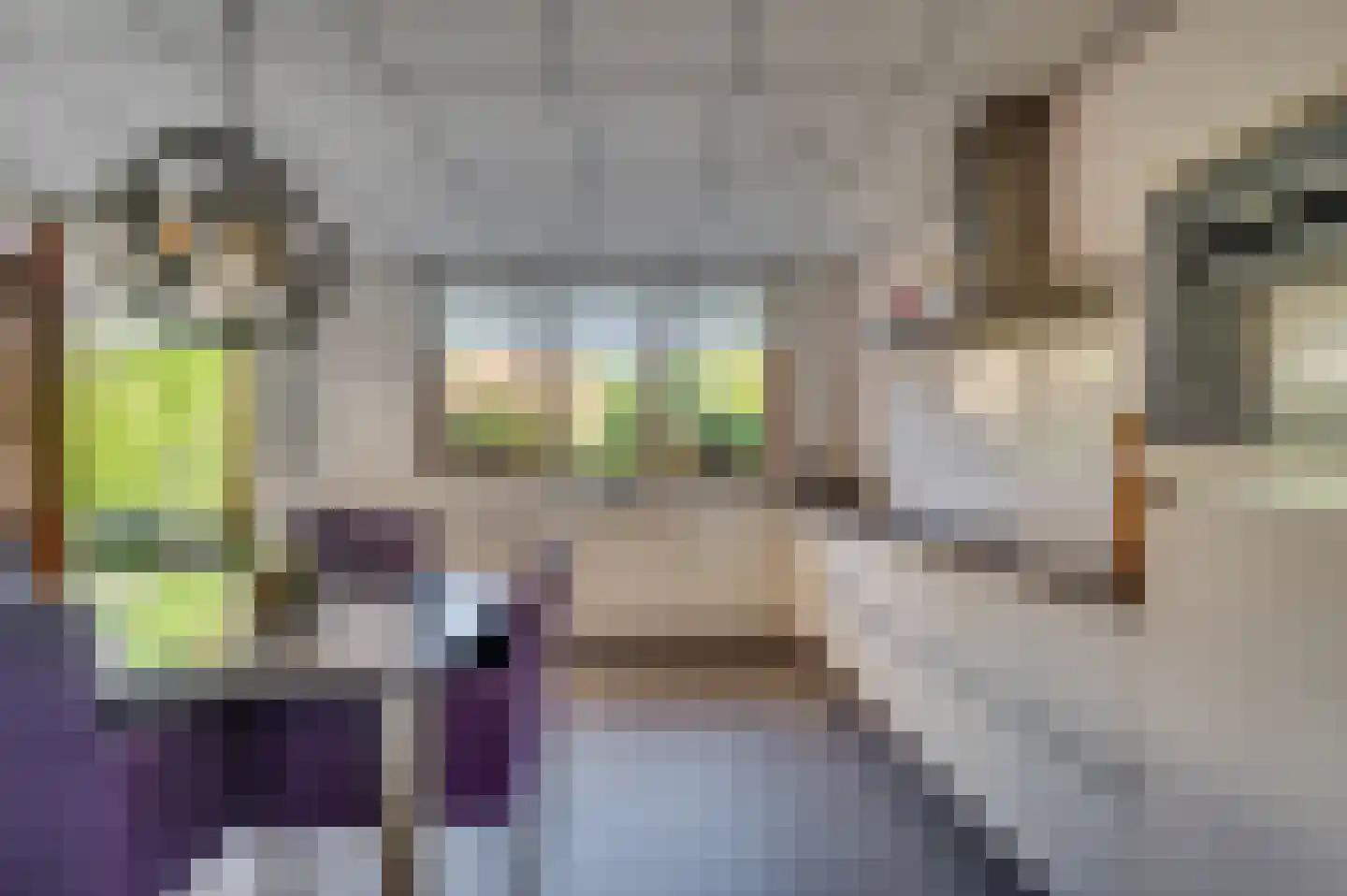 Luitenant Klopweg 4 Venlo thumbnail 20