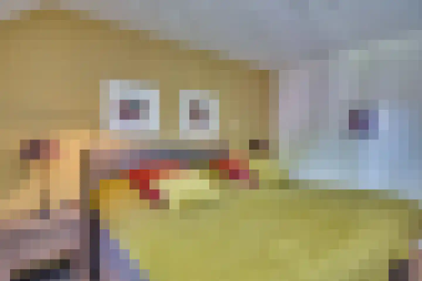 Luitenant Klopweg 4 Venlo thumbnail 30