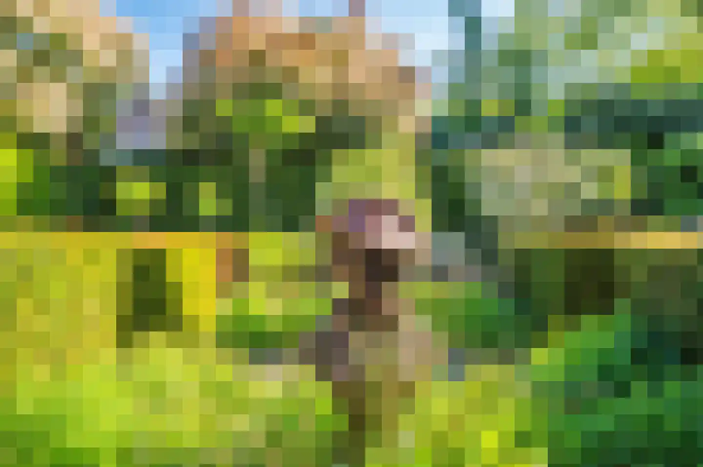 Luitenant Klopweg 4 Venlo thumbnail 53