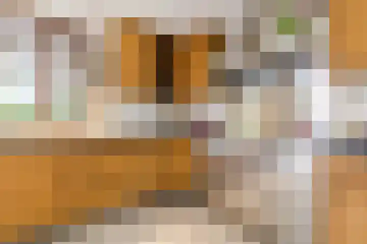 Luitenant Klopweg 6 Venlo thumbnail 30