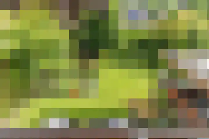 Luitenant Klopweg 6 Venlo thumbnail 66