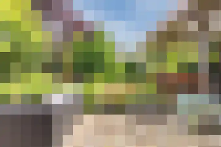 Luitenant Klopweg 6 Venlo thumbnail 67