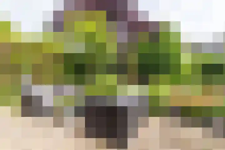 Luitenant Klopweg 6 Venlo thumbnail 68