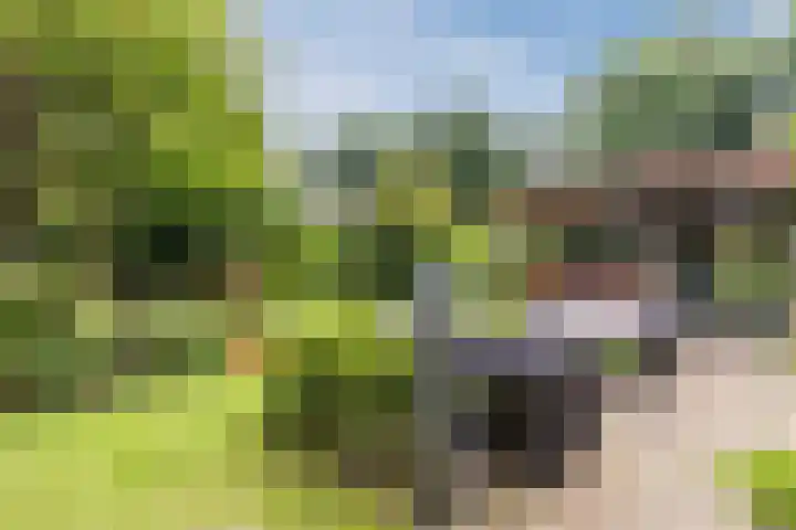 Luitenant Klopweg 6 Venlo thumbnail 69