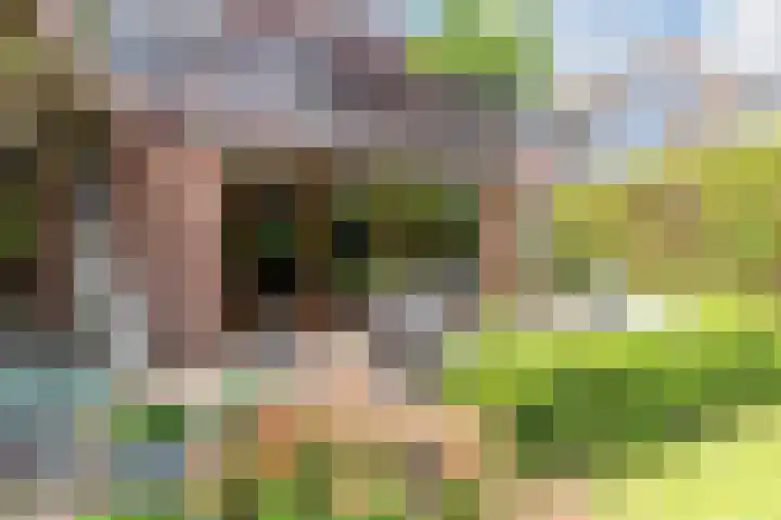 Luitenant Klopweg 6 Venlo thumbnail 73