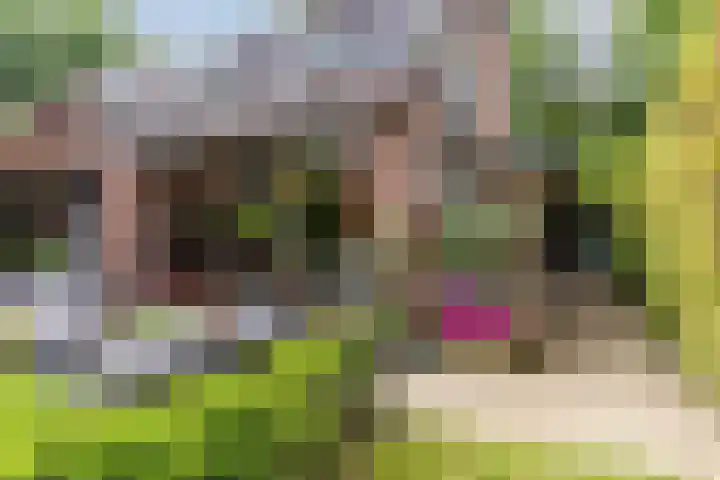 Luitenant Klopweg 6 Venlo thumbnail 75