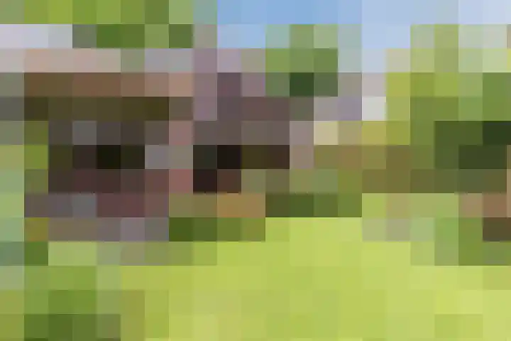 Luitenant Klopweg 6 Venlo thumbnail 77