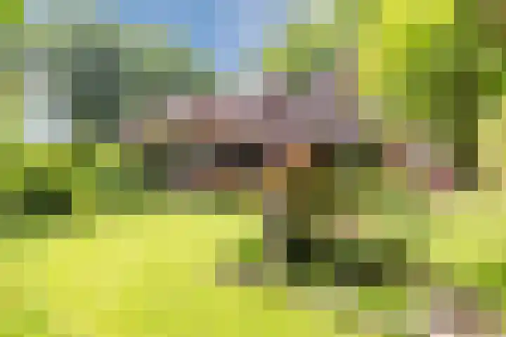 Luitenant Klopweg 6 Venlo thumbnail 78