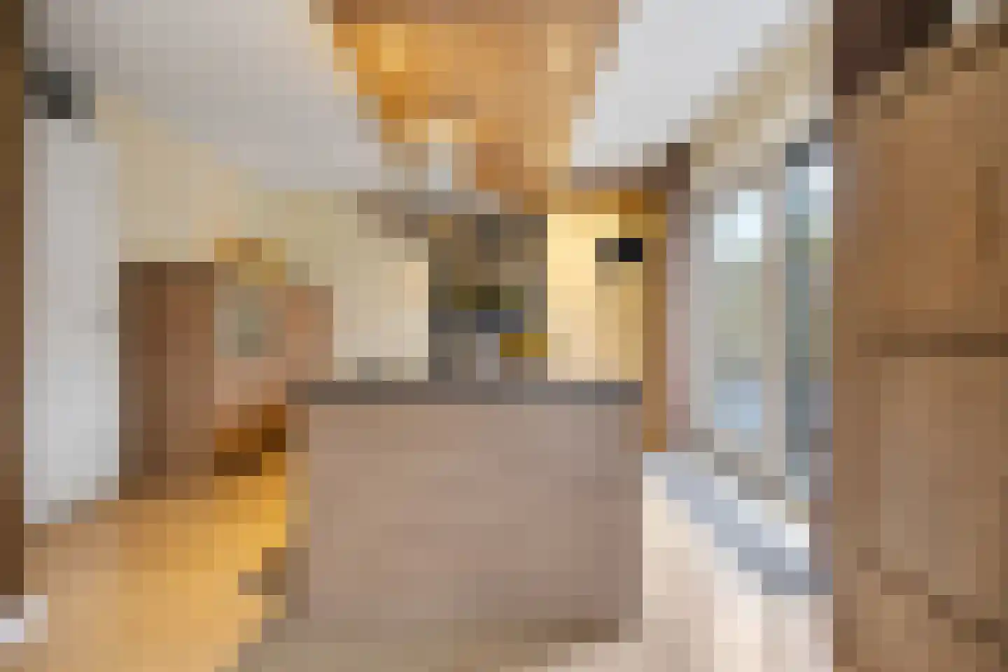 Luitenantstraat 13 Huissen thumbnail 12