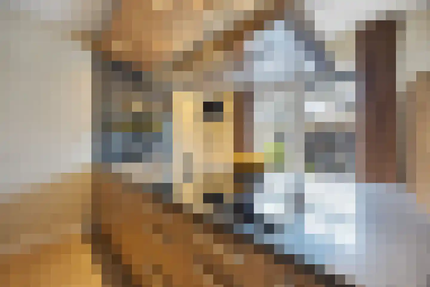 Luitenantstraat 13 Huissen thumbnail 13