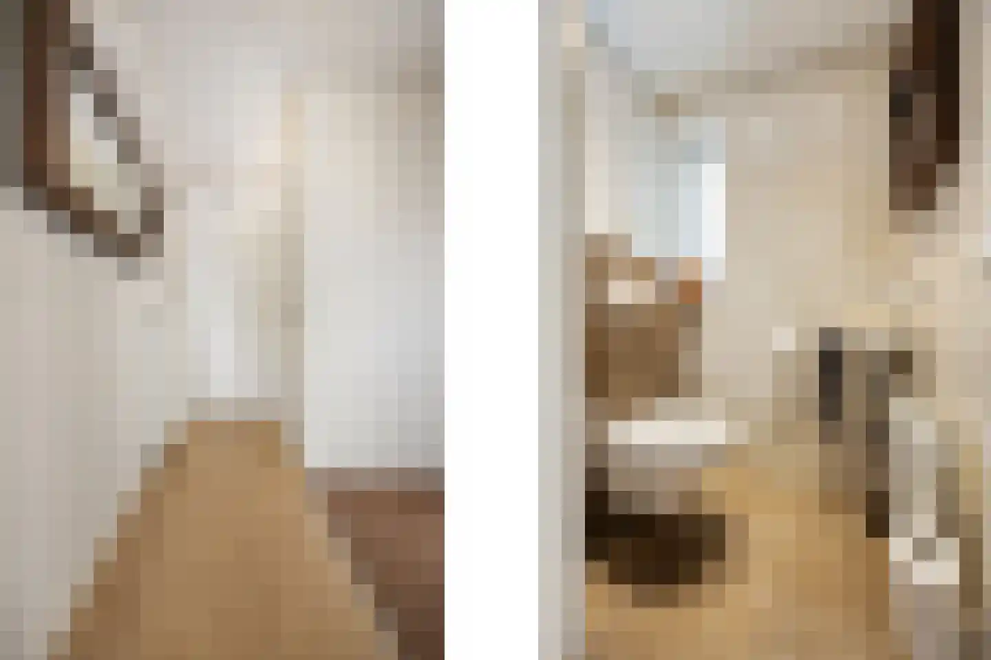 Luitenantstraat 13 Huissen thumbnail 20