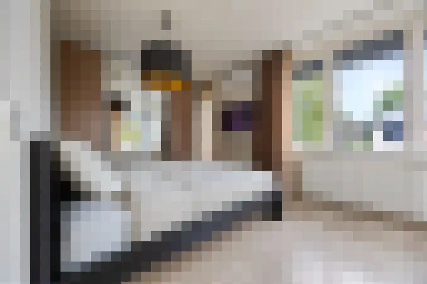 Luitenantstraat 13 Huissen thumbnail 25