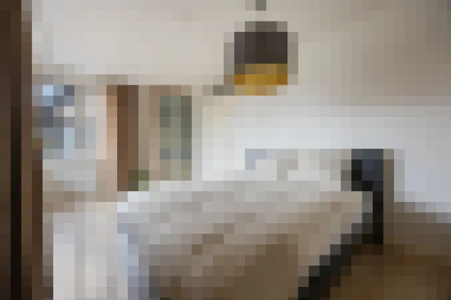 Luitenantstraat 13 Huissen thumbnail 26