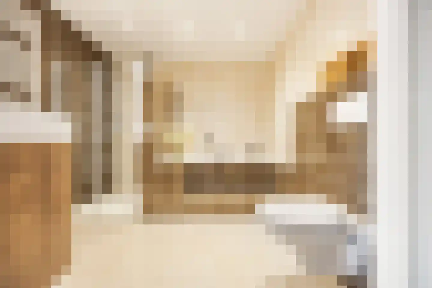 Luitenantstraat 13 Huissen thumbnail 27