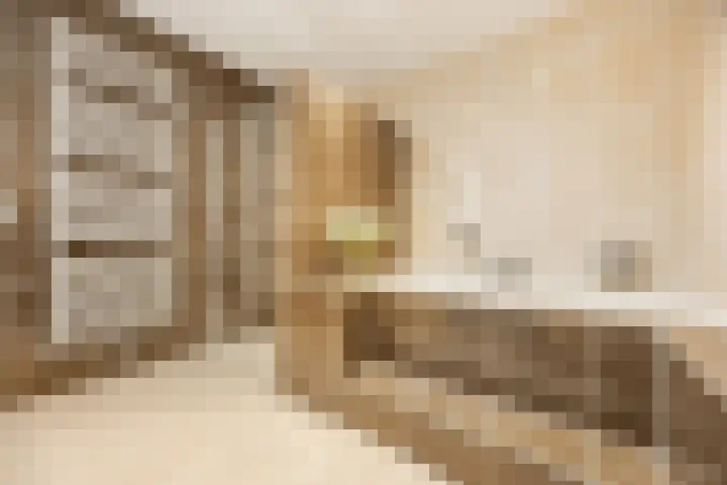 Luitenantstraat 13 Huissen thumbnail 28