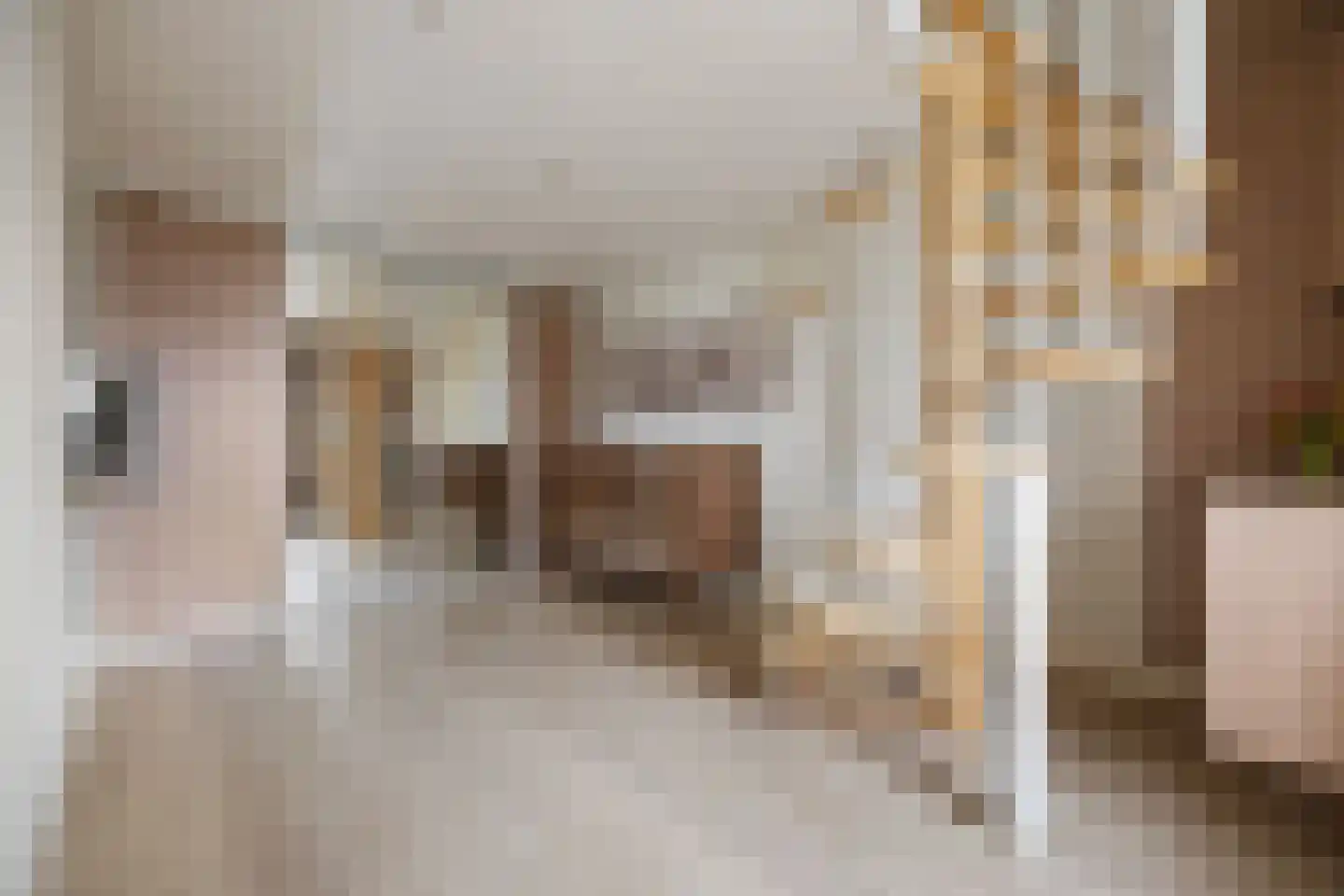 Luitenantstraat 13 Huissen thumbnail 31