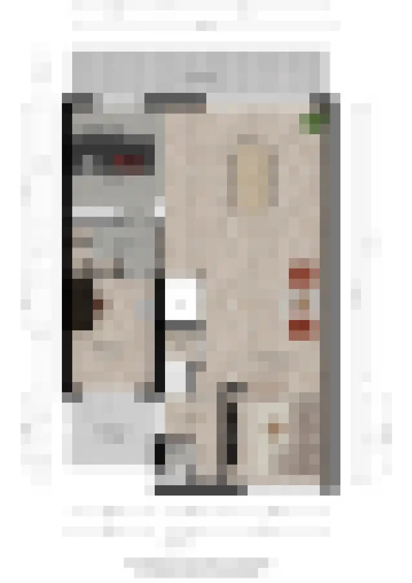 Luitenantstraat 13 Huissen thumbnail 39