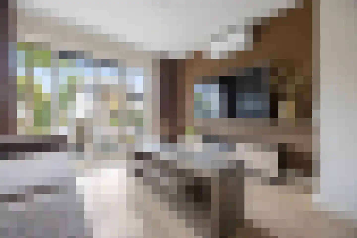 Luitenantstraat 13 Huissen thumbnail 7