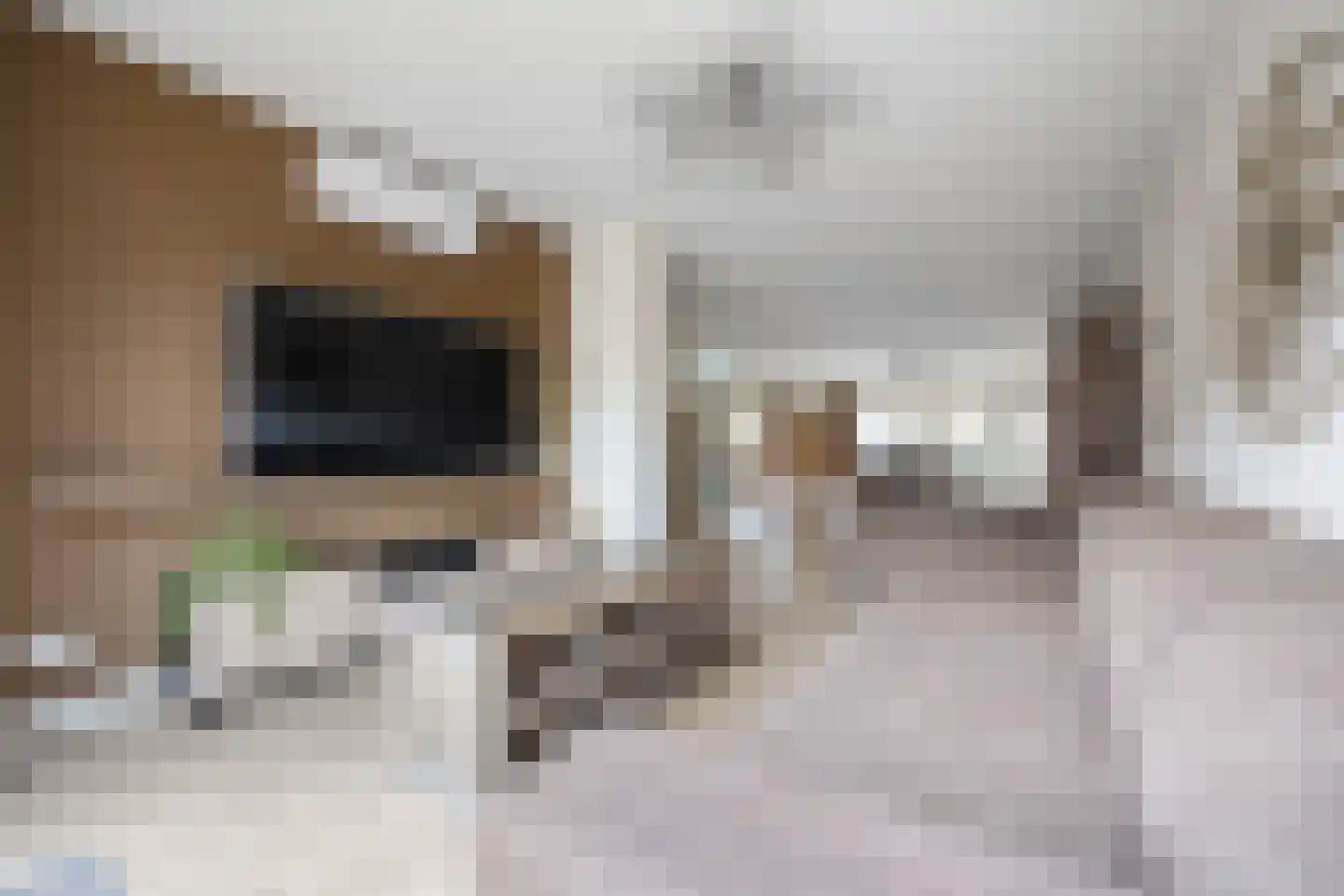 Luitenantstraat 13 Huissen thumbnail 8