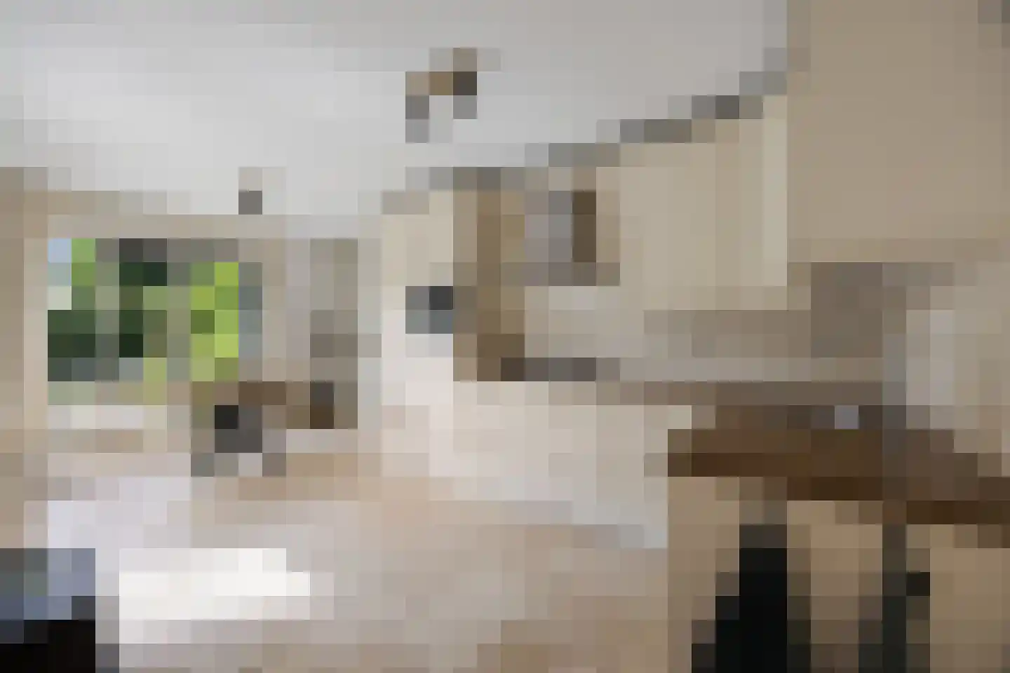 Luitenantstraat 15 Huissen thumbnail 12