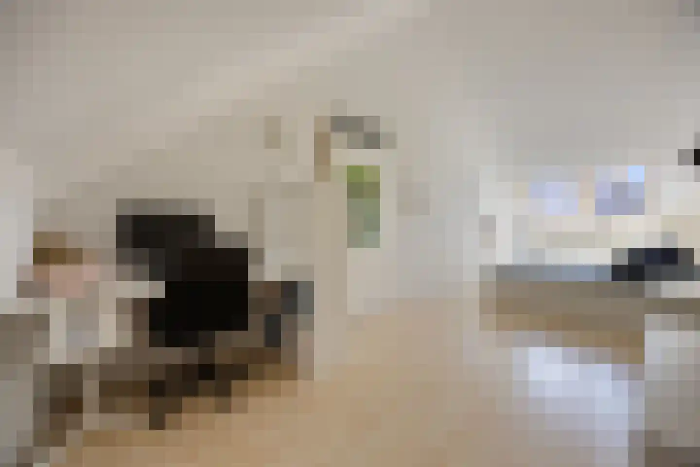 Luitenantstraat 15 Huissen thumbnail 33