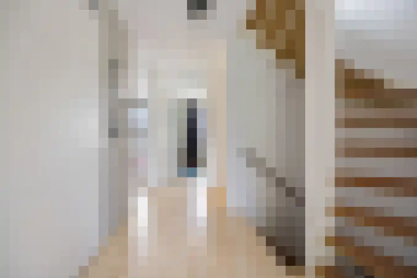 Luitenantstraat 15 Huissen thumbnail 36