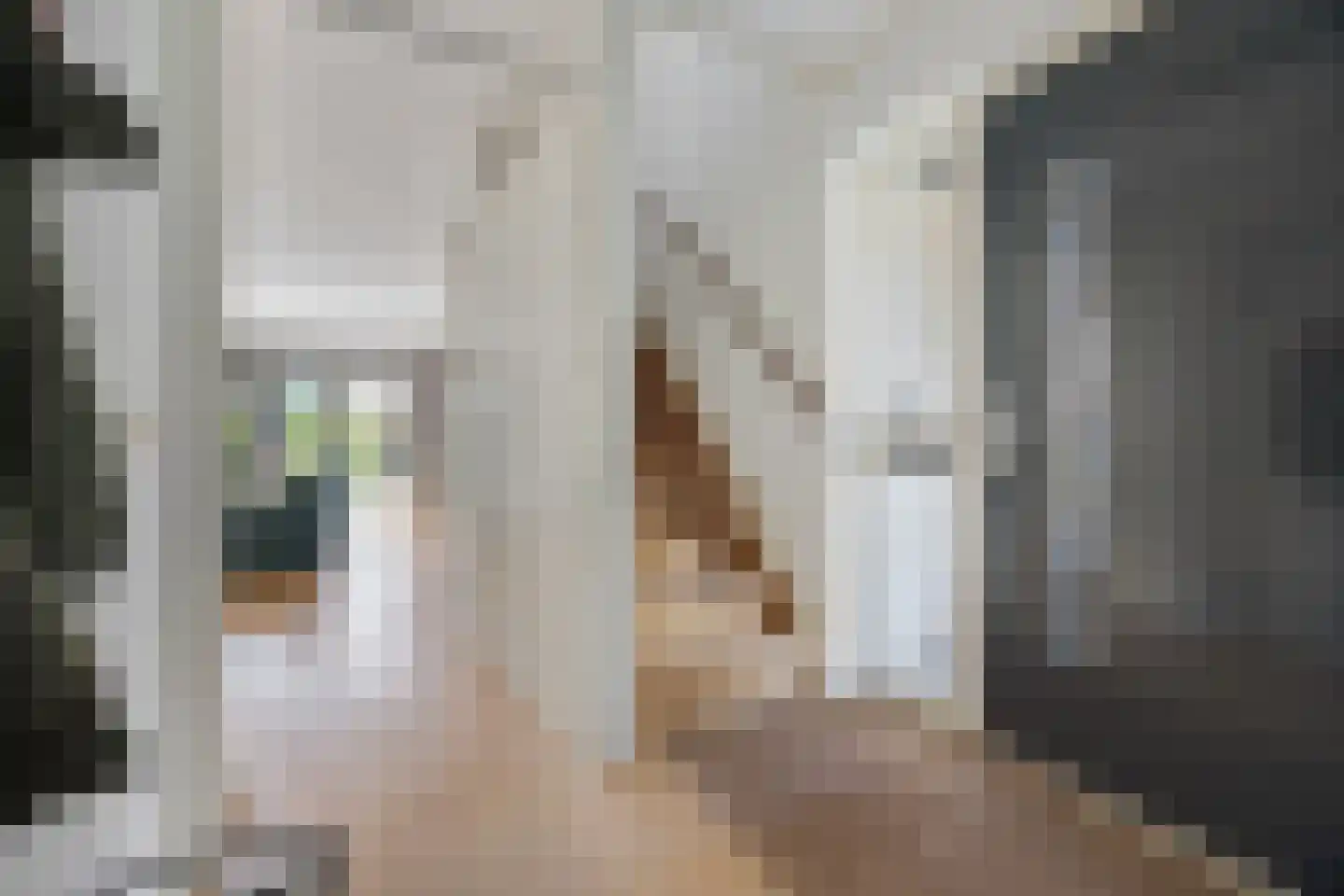 Luitenantstraat 15 Huissen thumbnail 5