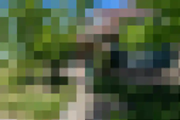 Luitertweg 3 Klein Zundert thumbnail 10