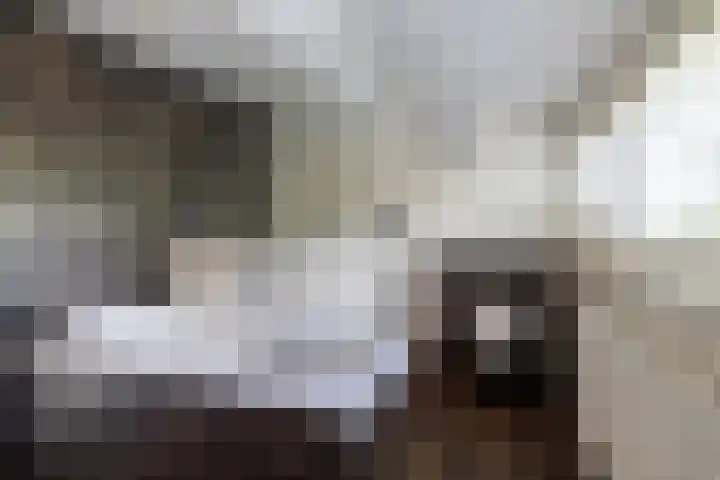 Luitertweg 3 Klein Zundert thumbnail 31
