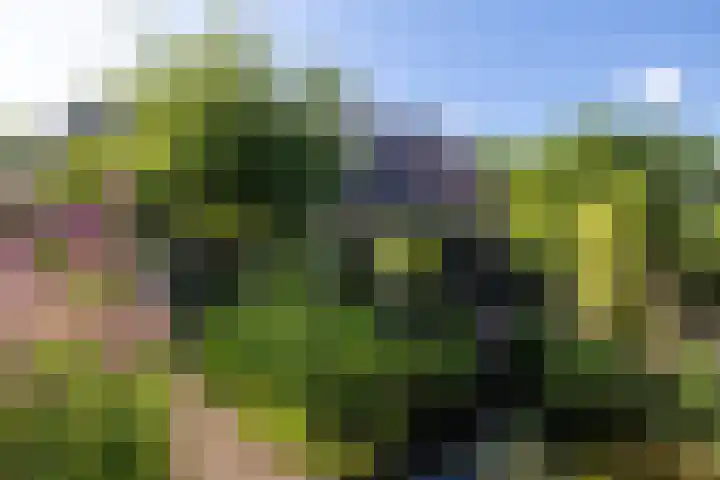 Luitertweg 3 Klein Zundert thumbnail 33