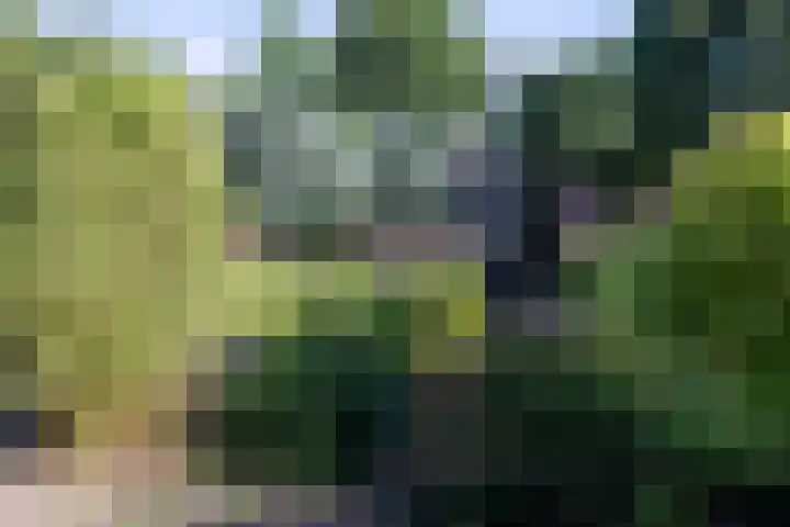 Luitertweg 3 Klein Zundert thumbnail 35