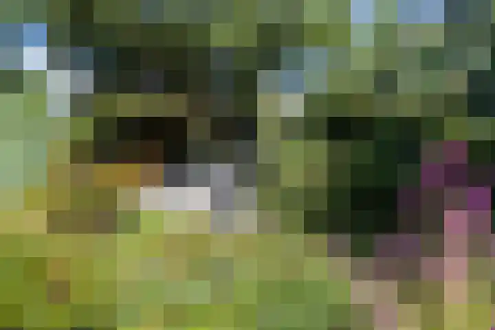 Luitertweg 3 Klein Zundert thumbnail 36