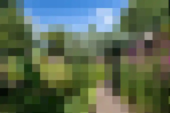 Luitertweg 3 Klein Zundert thumbnail 37