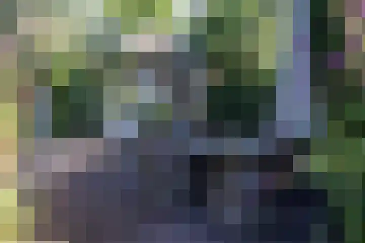 Luitertweg 3 Klein Zundert thumbnail 38