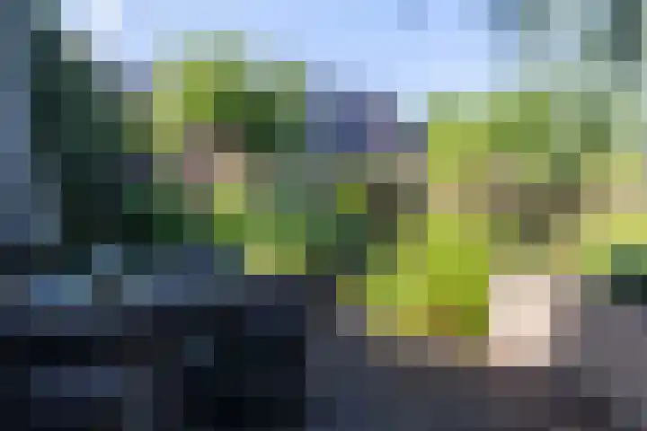 Luitertweg 3 Klein Zundert thumbnail 39