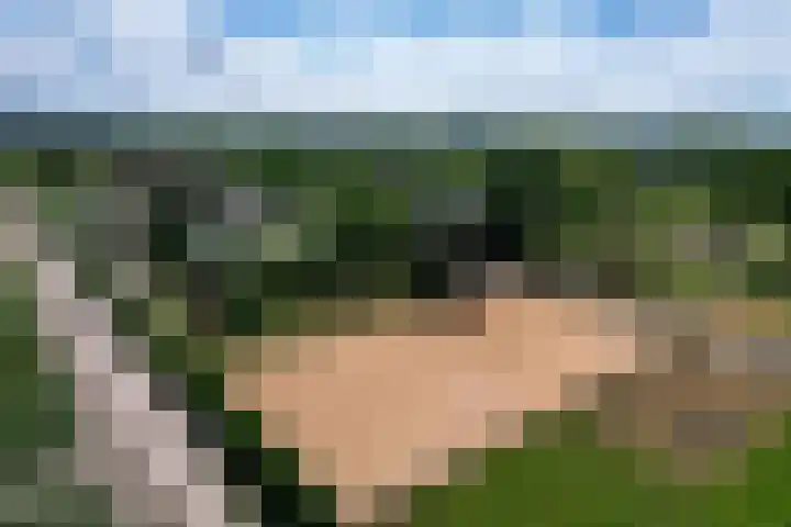 Luitertweg 3 Klein Zundert thumbnail 4
