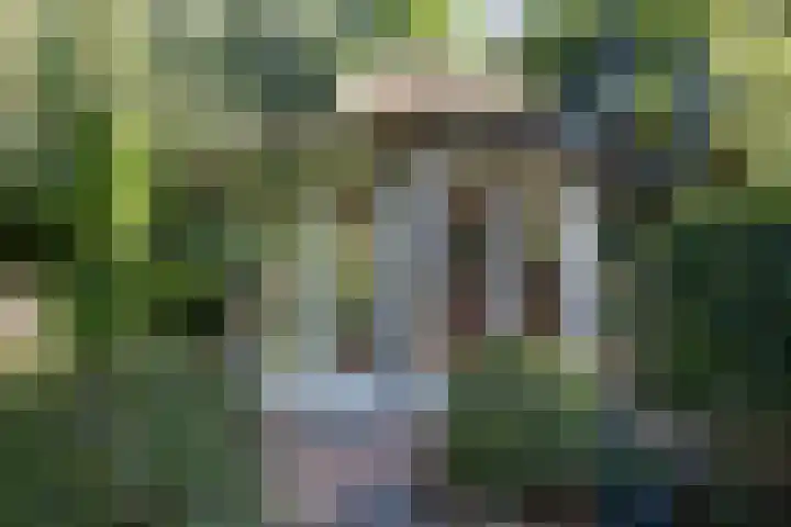 Luitertweg 3 Klein Zundert thumbnail 40