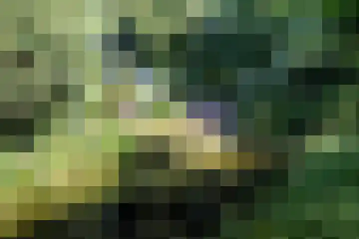 Luitertweg 3 Klein Zundert thumbnail 41