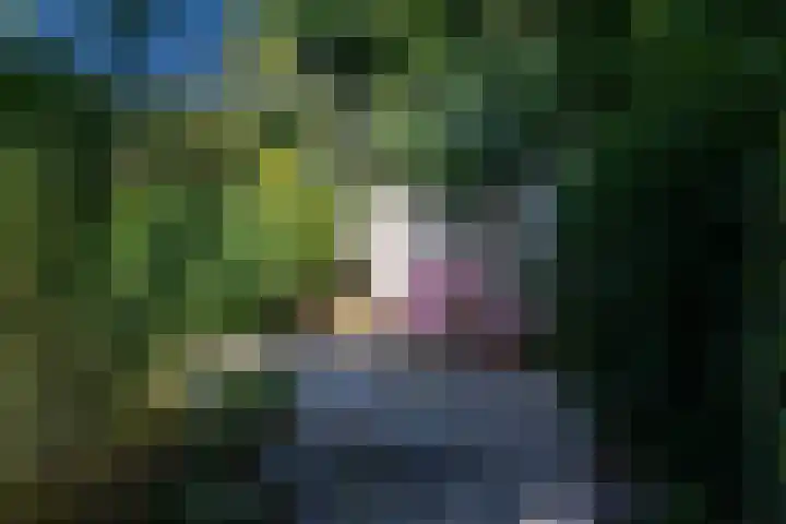 Luitertweg 3 Klein Zundert thumbnail 42